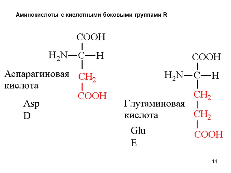 14 Аминокислоты с кислотными боковыми группами R Asp D Glu E